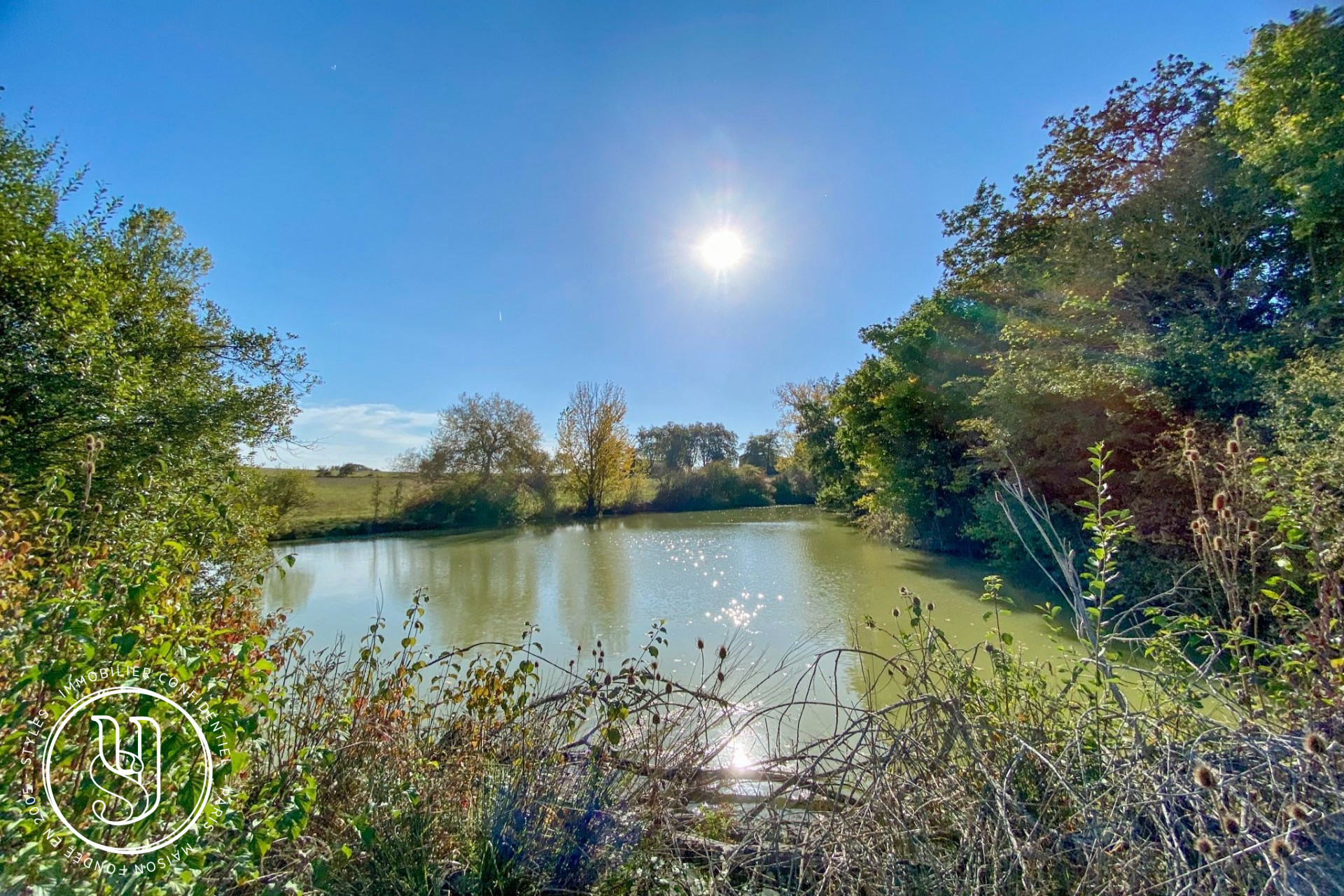 Toulouse - À 1h - Un magnifique domaine au coeur de la nature - image 10