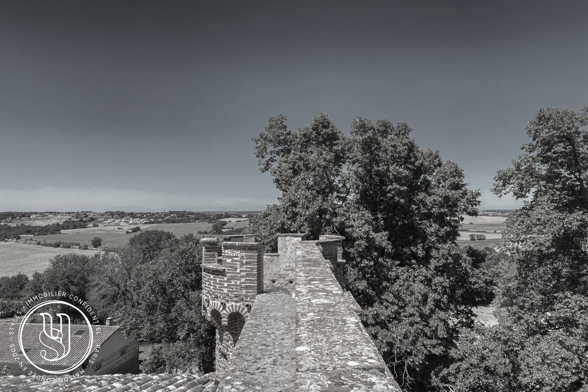 Toulouse - Vendu par Styles - Château du XVIème et ses vues dégagées - image 1
