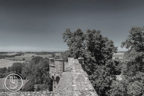 Toulouse - Vendu par Styles - Château du XVIème et ses vues dégagées - image 1