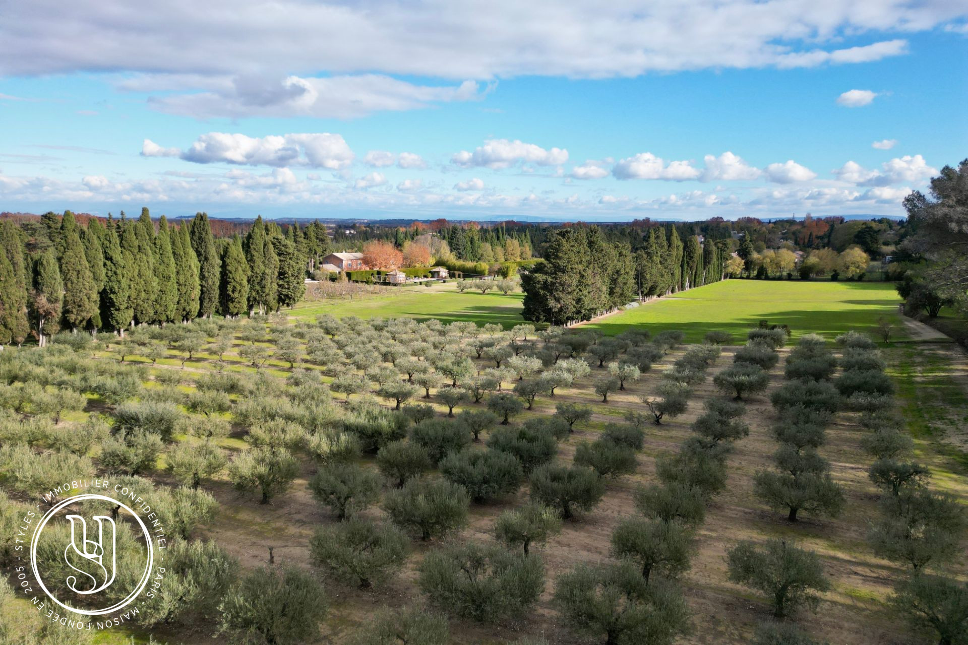 Saint-Rémy-de-Provence - close to the town center, a large Provencal farmhouse with uns - image 9