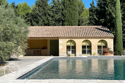Saint-Rémy-de-Provence - en campagne - Fabuleux domaine de 28ha - image 1