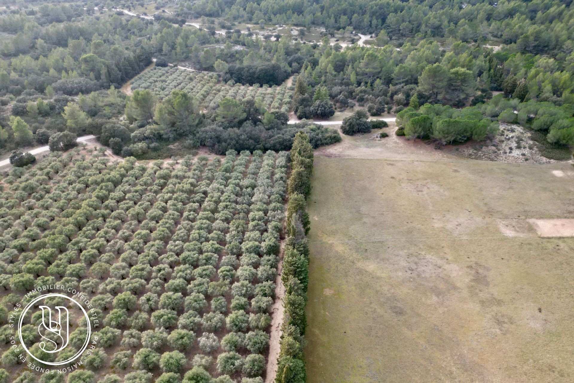 Saint-Rémy-de-Provence - en campagne - Fabuleux domaine de 28ha - image 8