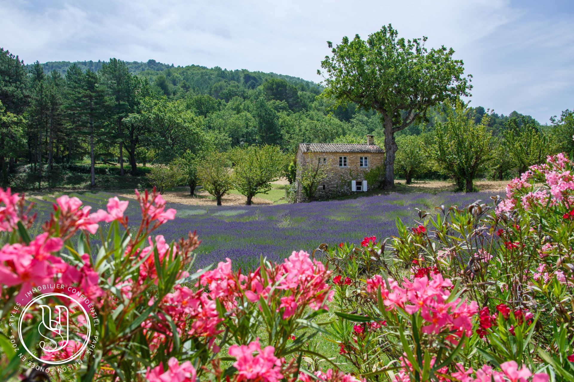 Saignon - a Provençal countryside with breathtaking views - image 9