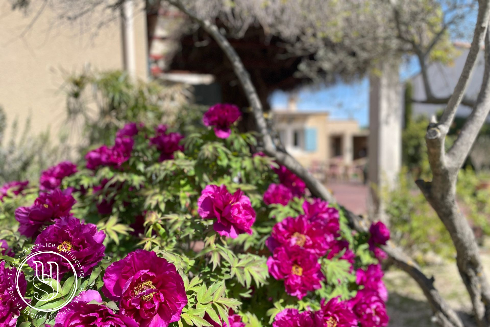 Saint-Rémy-de-Provence - centre on foot, a superb 50s house with its garden - image 11