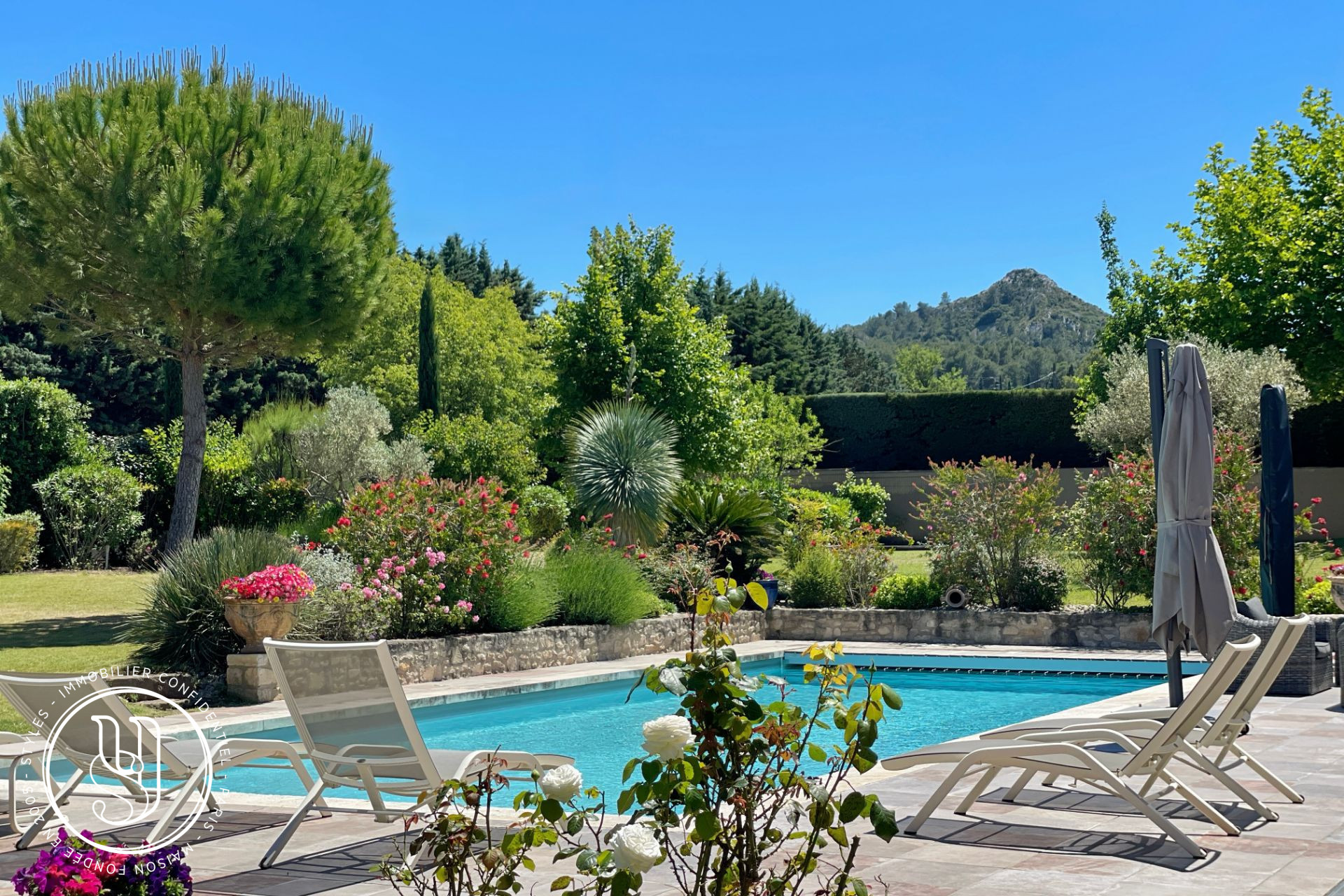Saint-Rémy-de-Provence - close to the center and views onto les Alpilles - image 7