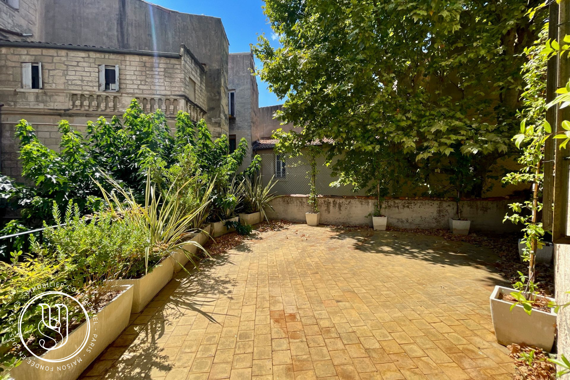 Montpellier - historic center, character, luxury catering, terrace and priva - image 8