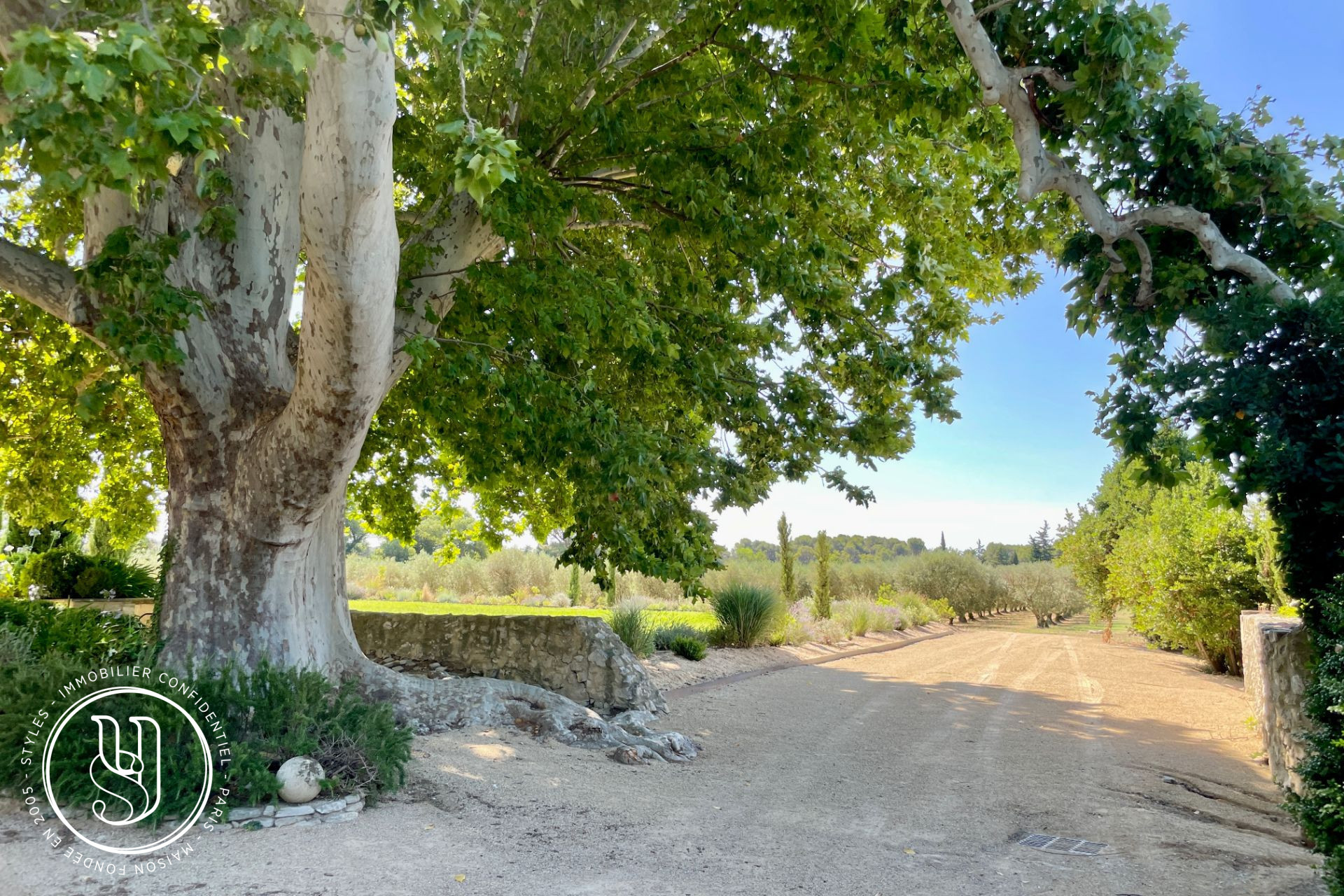 Maussane-les-Alpilles - Majesté provençale du XVIIe siècle - image 8