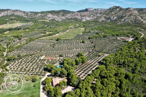 Les Baux-de-Provence - en panorama, vivre en symphonie avec les Alpilles - image 1