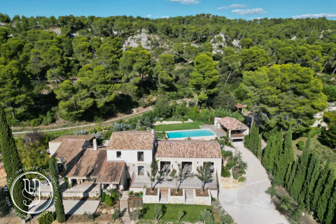 Maussane-les-Alpilles - Un écrin rare au coeur des Alpilles - image 1