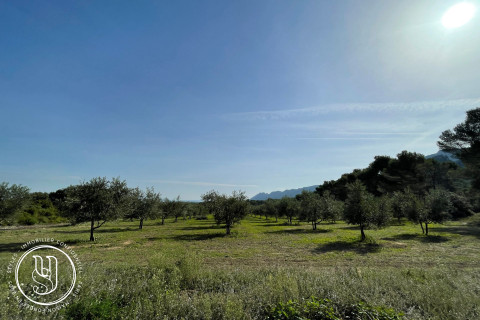 Saint-Rémy-de-Provence - Un domaine confidentiel dans le parc naturel des Alpilles  - image 1