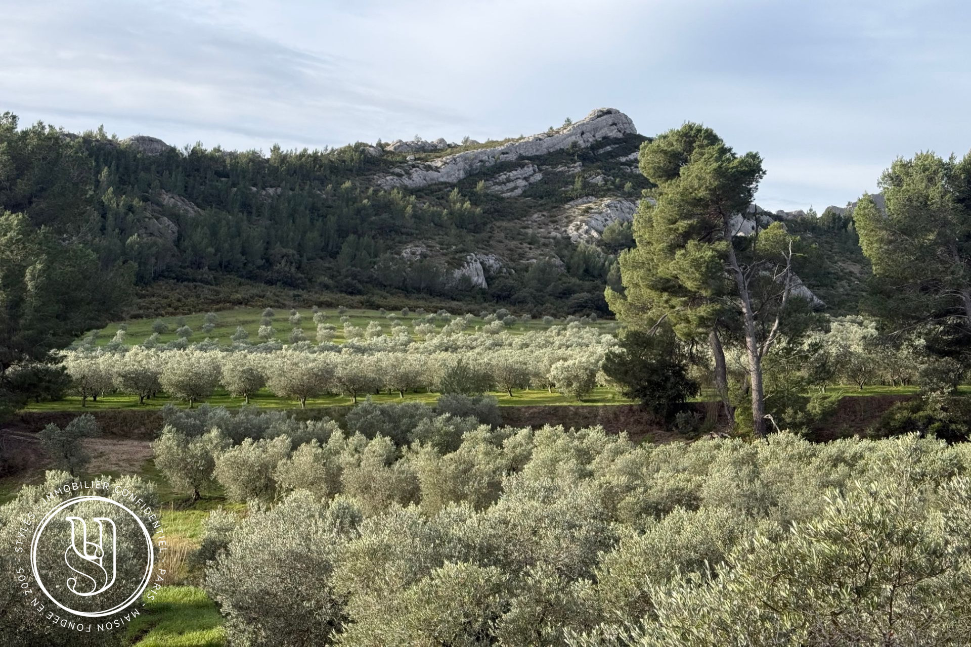 Saint-Rémy-de-Provence - The Art of Hosting in the Heart of the Alpilles - image 1
