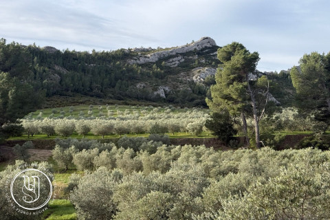 Saint-Rémy-de-Provence - L''art de recevoir au coeur des Alpilles - image 1