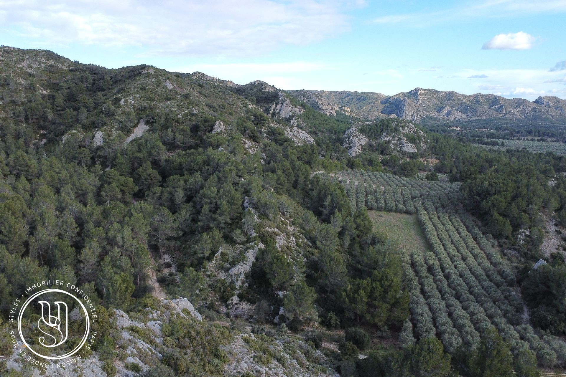 Les Baux-de-Provence - l''art de vivre provençal au sommet - image 10