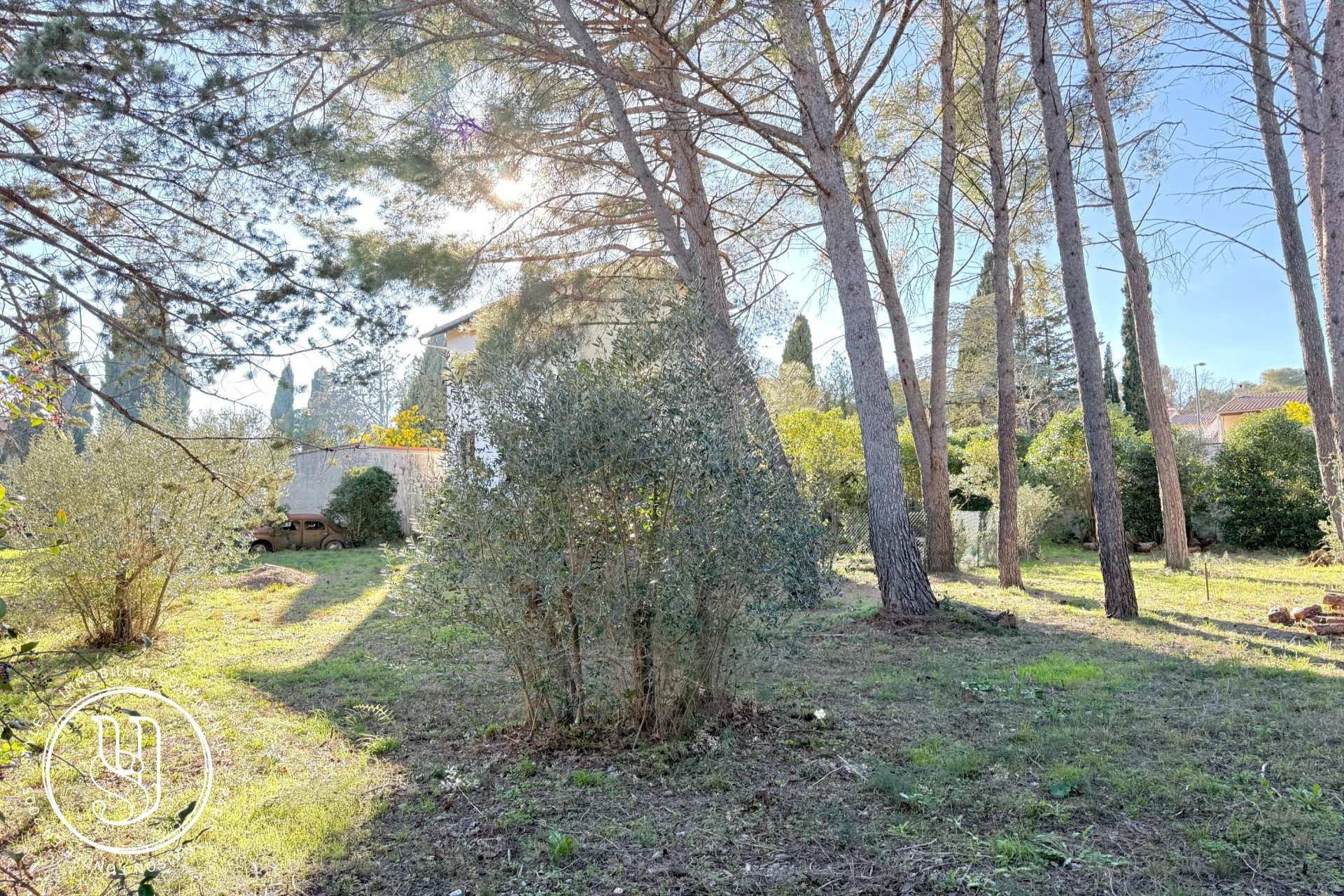Castelnau-le-Lez - propriété sur grande parcelle arborée  - image 5