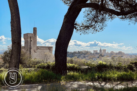 Villeneuve-lès-Avignon - Une vue exceptionnelle, une adresse unique, un projet sur mesu - image 1