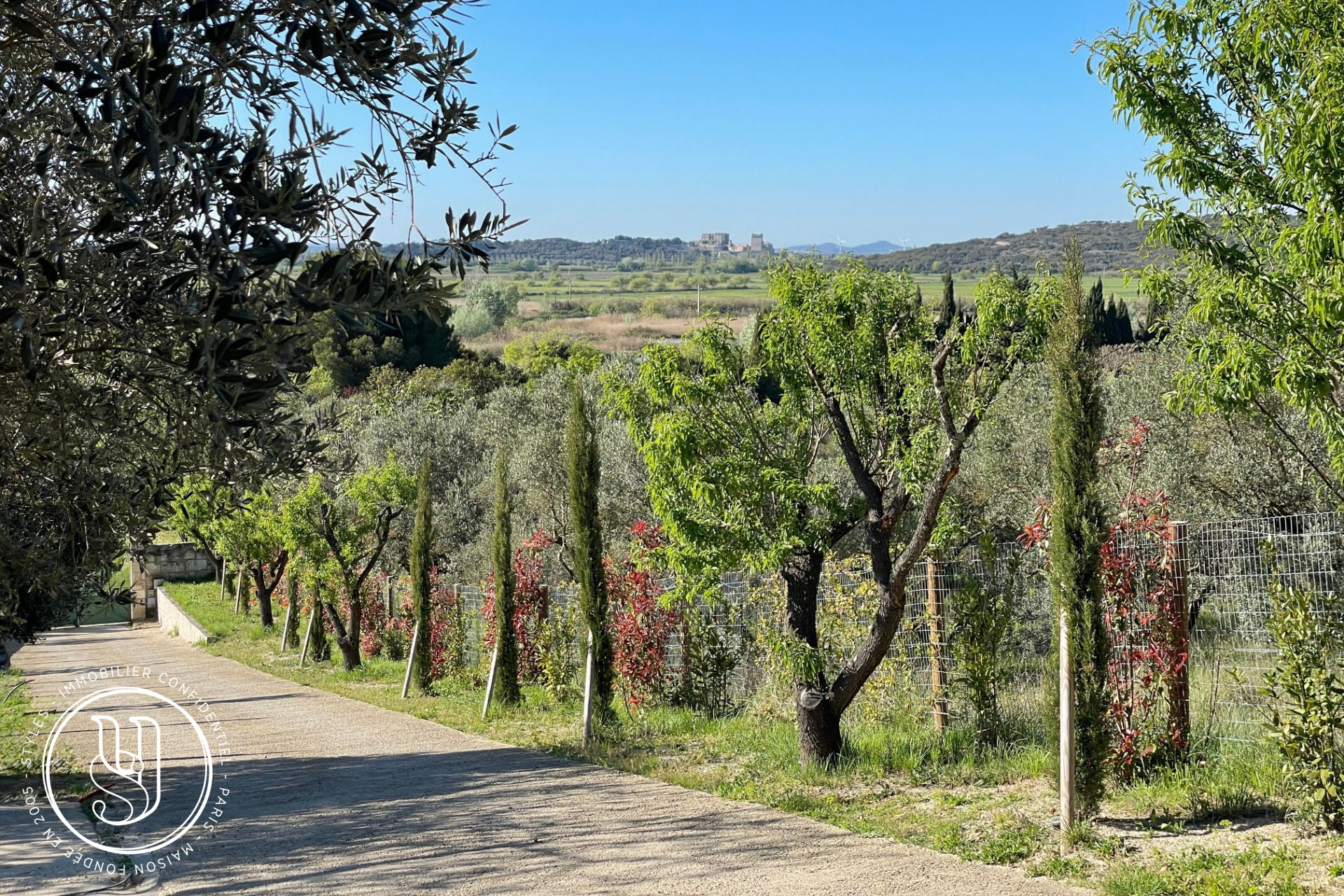 Arles - BARBEGAL ? Exceptional Estate at the Gates of the Alpilles - image 18