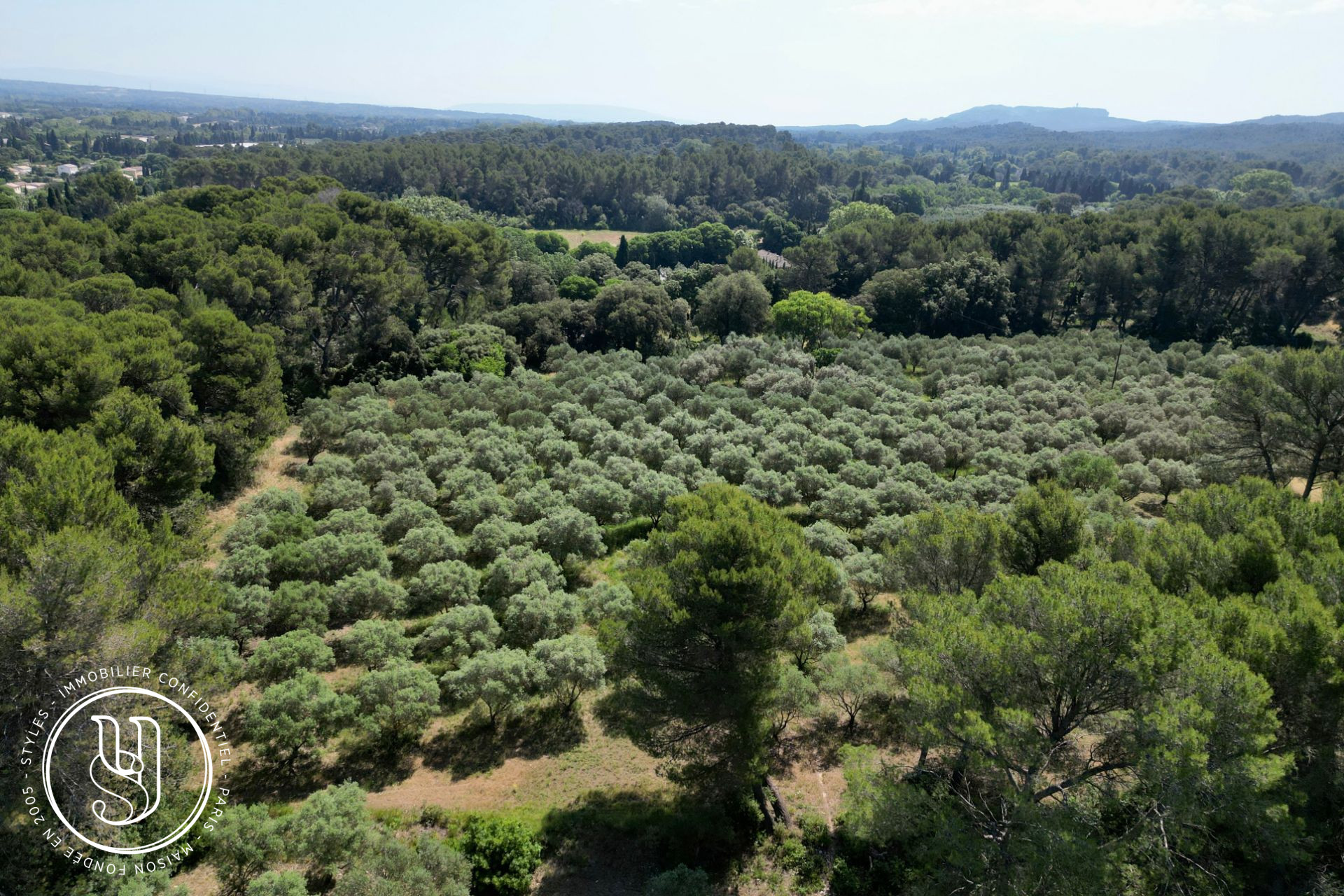 Saint-Rémy-de-Provence - Un mas de famille à réinventer au coeur des Alpilles - image 5