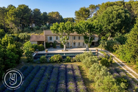 Saint-Rémy-de-Provence - Un mas de famille à réinventer au coeur des Alpilles - image 1
