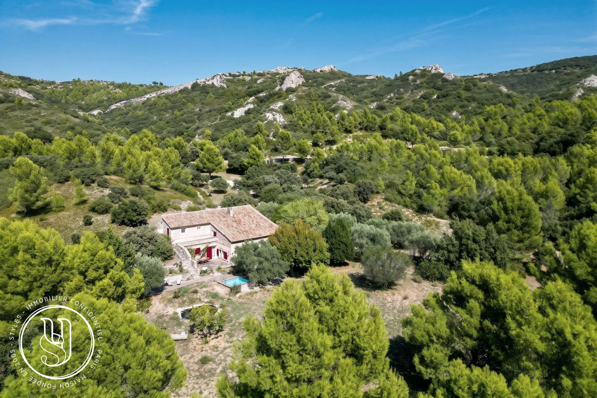 Eygalières - Un mas, 3 hectares et les Alpilles pour horizon - image 1