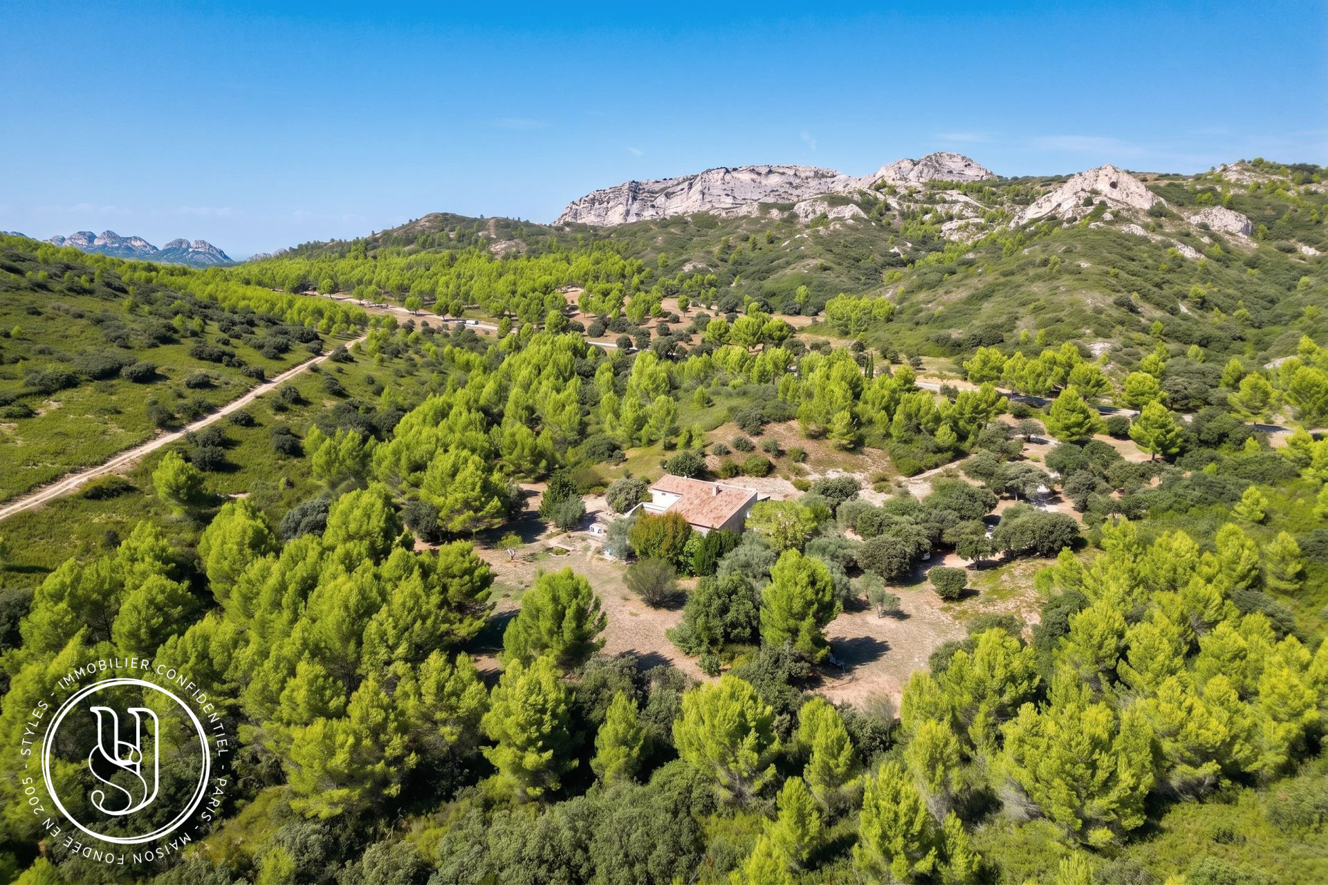 Eygalières - Un mas, 3 hectares et les Alpilles pour horizon - image 6